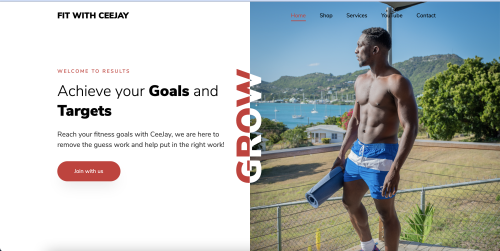 Fitness Trainer Page