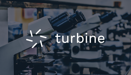 Website development for turbine.ai