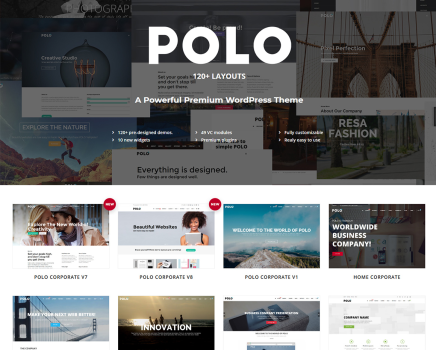 Polo - Responsive Multi-Purpose WordPress Theme