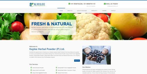 Original web design