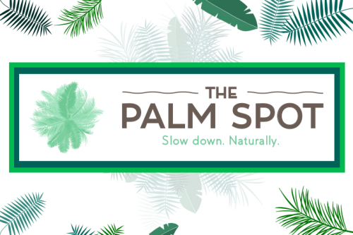 Palm Spot Logo Design