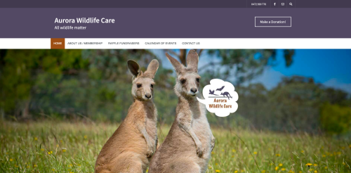 Aurora Wildlife Care