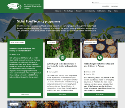 Global Food Security Website Redesign And WordPress Development