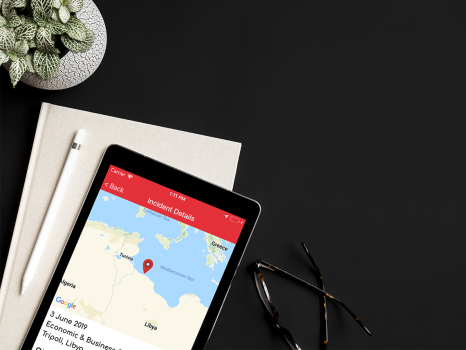 Mobile and Web Development for MEA-Risk