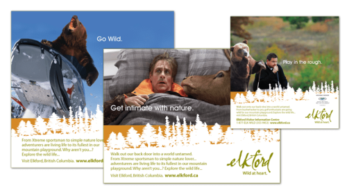 Elkford Brand Development