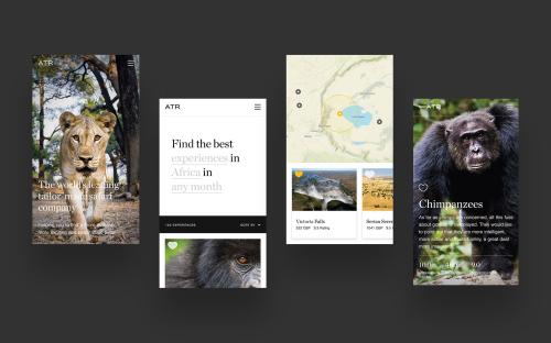 A custom web app to promote sustainable tourism