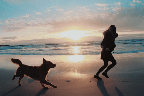 Starsky Feat. The Dog Momager
