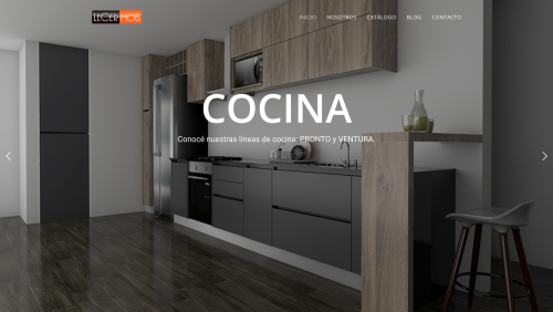 Website for Lecermob
