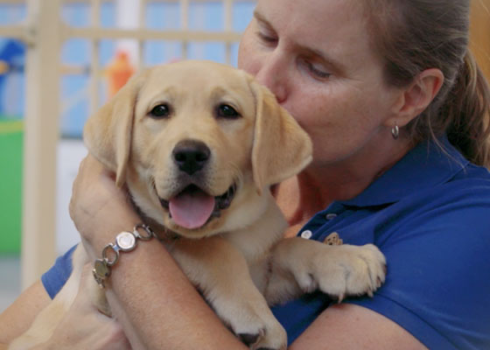 Seeing Eye Dogs Australia