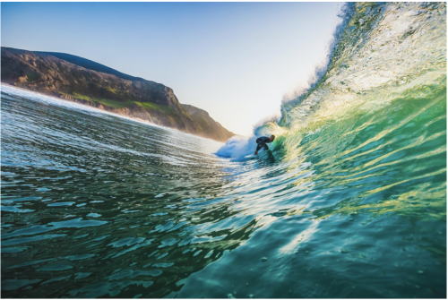 Tiny Whale Case Study - Pay Per Click Advertisement