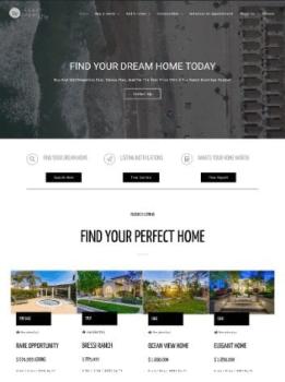 Real Estate Client