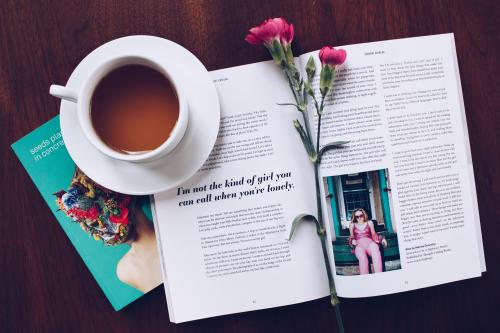 How Elevate Status Dominated an 857% Increase in Organic Users for an Online Magazine