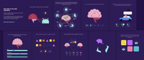 Web Design for Brainfacts.org