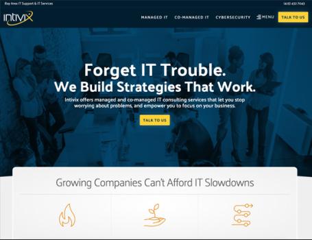 Intivix Website