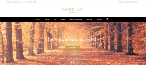 Website Design and Development for Carol Joy