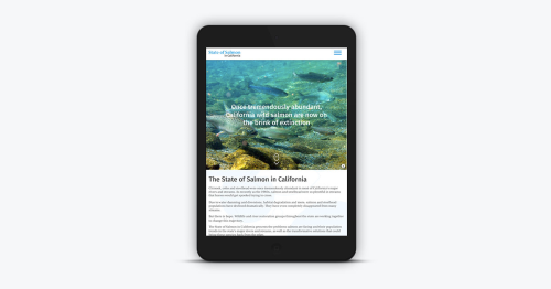 State of Salmon in California