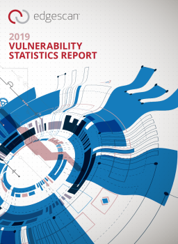 Vulnerability Statistics Report