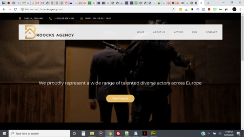 Web Talent Management Solution