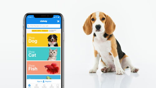 Never Let Your Pet Go Hungry with the Chewy Mobile App