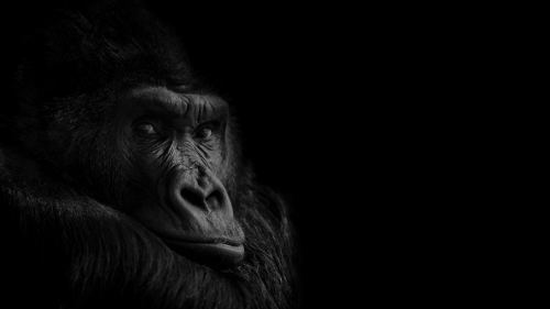 Our Lead Generation Process