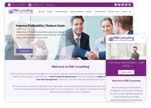 RIB Consulting