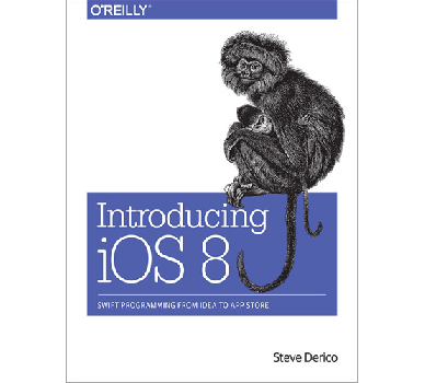 Introducing iOS Book