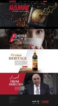 Al-Hamvi Website Design & Development