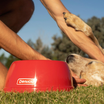 Denucio - Plants & Pet Supplies | vShopping