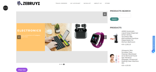 zebruyi.com development