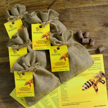 Beebombs - 80,000+ Customers Acquired
