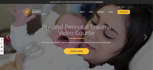WordPress Custom Theme Development