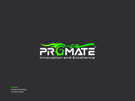 Logo Design for Promate