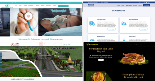 Best Website Development & Designing Service
