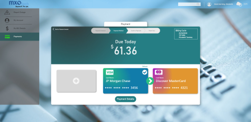 Payment Usage and Outage Portal
