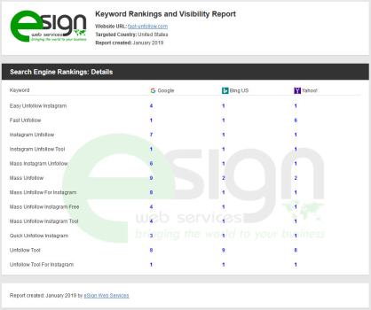 SEARCH ENGINE RANKINGS REPORT