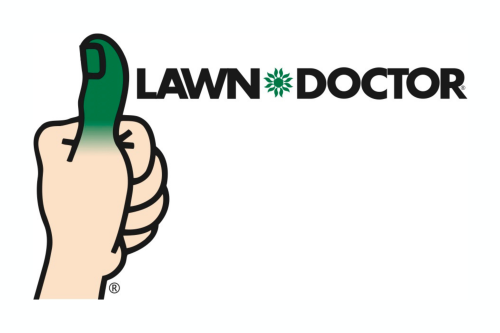 Landscaping | 171% increase in organic conversions