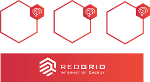 Redgrid Front and back development