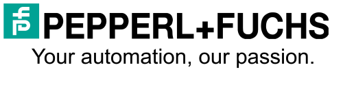 SEO/PPC