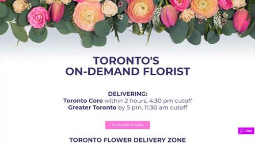 https://tonicblooms.com