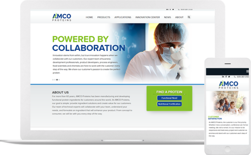 Amco Proteins WordPress Project