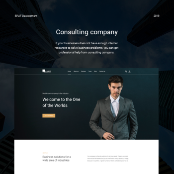 Consulting company website