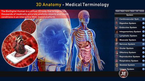 3D Anatomy using Microsoft Hololens