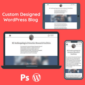 Web Design and Development