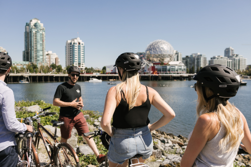 Cycle City New Site, SEO and PPC