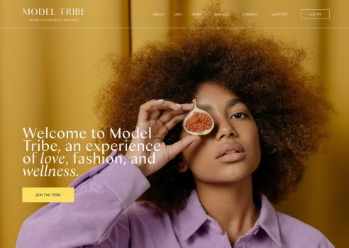 The Model Tribe