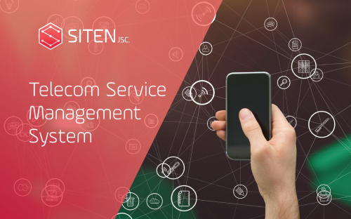 Telecommunication Service Management System