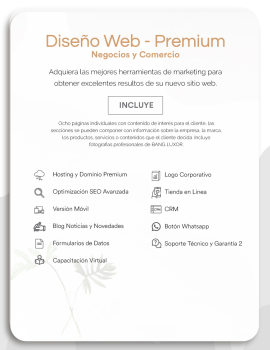 Web design luxury service