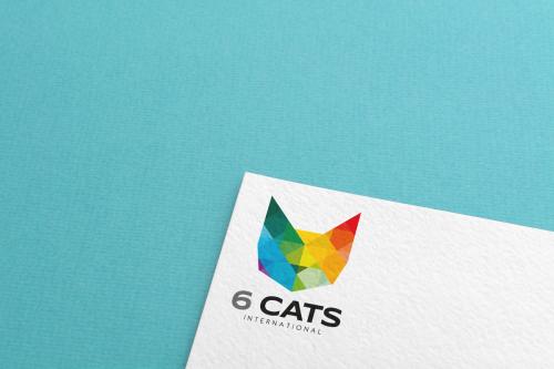 Branding for 6 CATS International