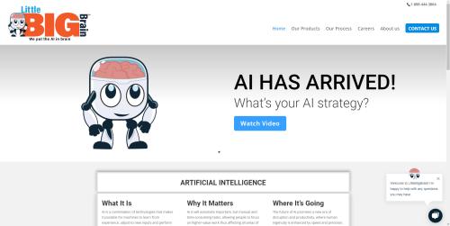 littlebigbrain.com website