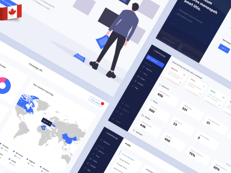 Digital Platform for capital raise and investors attraction